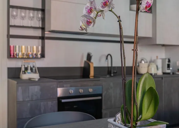 Appartement Greenlake Apt&parking *